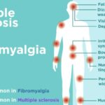 https://chronicillness.co/
