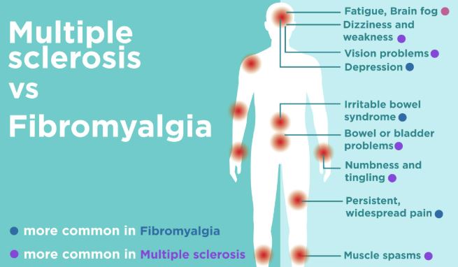 https://chronicillness.co/