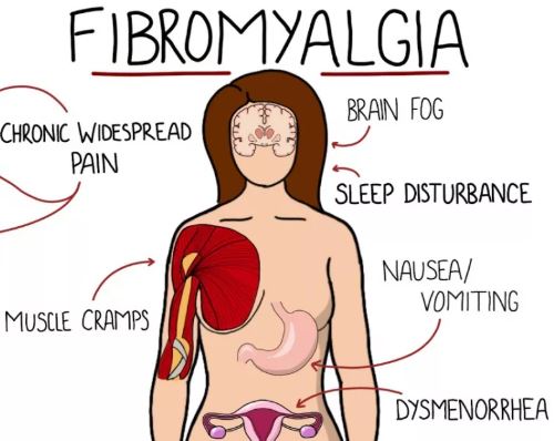 https://chronicillness.co/