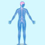 https://chronicillness.co/