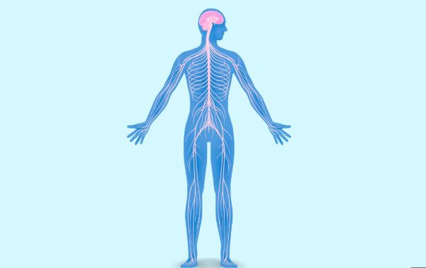https://chronicillness.co/