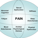https://chronicillness.co/