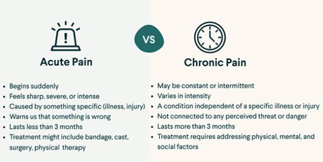 https://chronicillness.co/