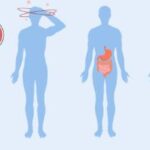 https://chronicillness.co/