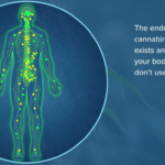 https://chronicillness.co/