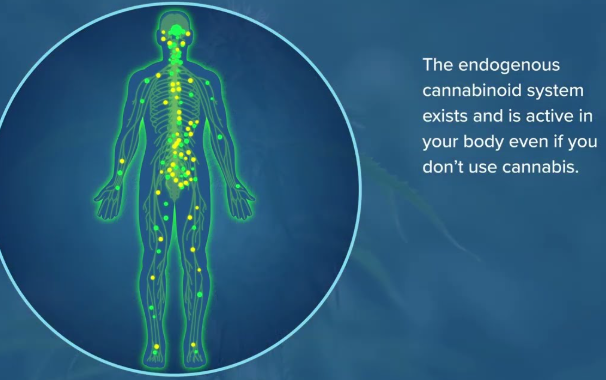https://chronicillness.co/
