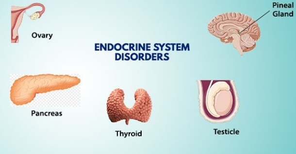 https://chronicillness.co/